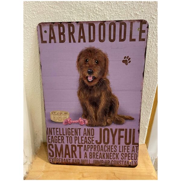 Metalen bord Labradoodle rood
