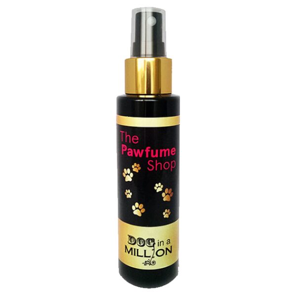 Parfum Dog in a Million
